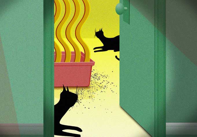 Как вывести запах кошачьей мочи с ковра в домашних условиях?