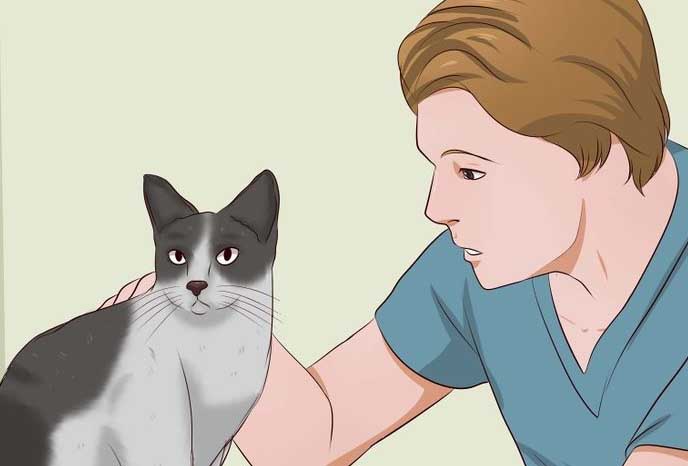 Как предотвратить появление запаха кошачьей мочи