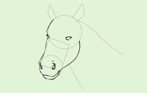 Голова лошади поэтапно карандашом 5