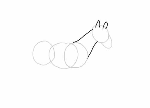 Как нарисовать лошадь легко и просто 5