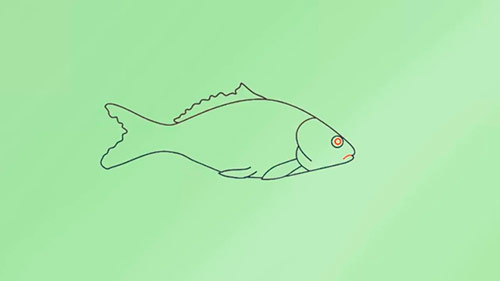Как легко нарисовать реалистичную рыбку - Шаг 6