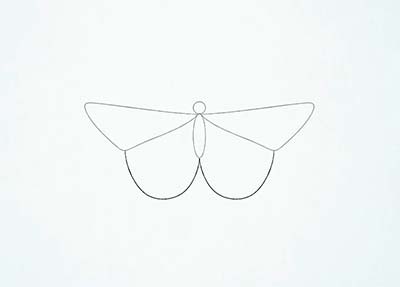 Как нарисовать реалистичную бабочку - Шаг 4