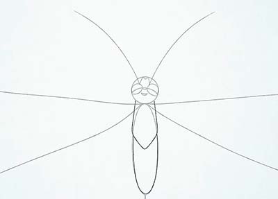 Как нарисовать реалистичную бабочку - Шаг 8