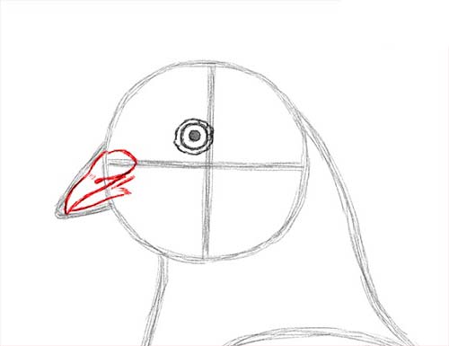 Как нарисовать голубя легко и просто - Шаг 9