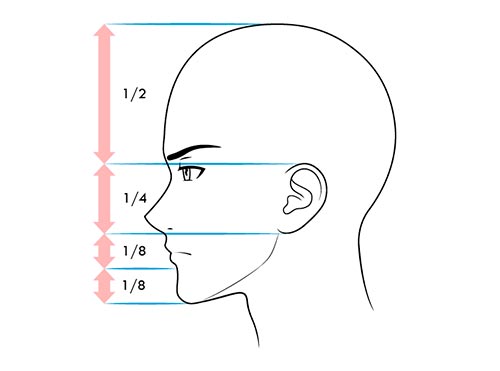 Как рисовать лицо сбоку когда человек хмурится - схема