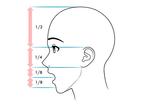 Как рисовать лицо сбоку когда человек удивлён - схема