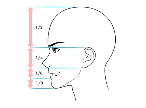 Как рисовать лицо сбоку когда человек ухмыляется - схема