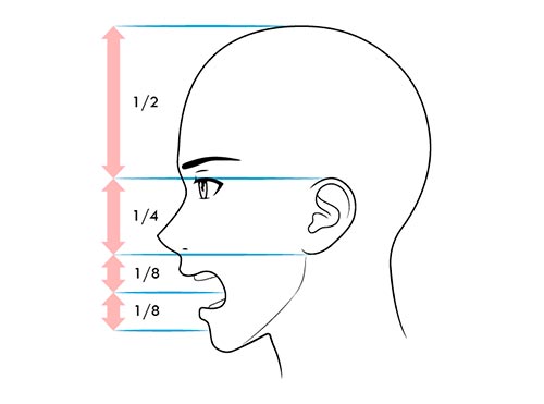 Как рисовать лицо сбоку когда человек кричит - схема