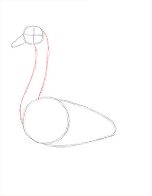 Как нарисовать лебедя карандашом - Шаг 6