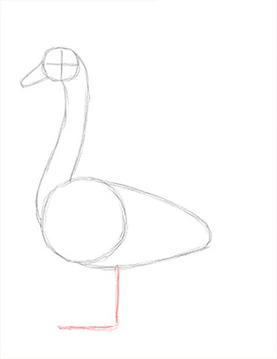 Как нарисовать лебедя карандашом - Шаг 7