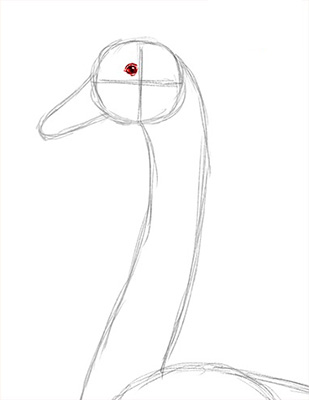 Как нарисовать лебедя карандашом - Шаг 8