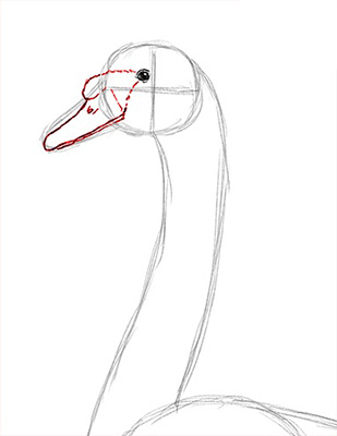 Как нарисовать лебедя карандашом - Шаг 9