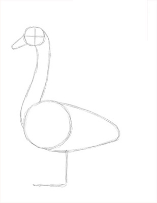 Как нарисовать лебедя карандашом - Начальный набросок