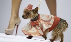5 базовых вещей, которые никогда не выйдут из моды