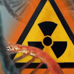 Как влияет радиация на организм человека?