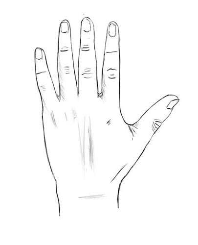 Рисуем руку человека - этап 3